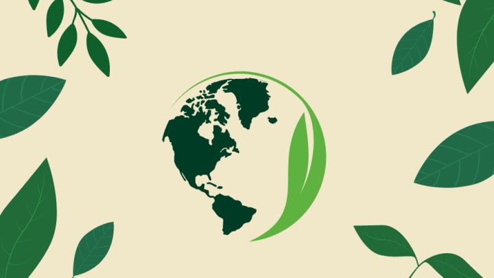 Sustainability